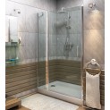 Душевая дверь в нишу распашная Bas Пандора WTW-110L